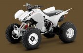 2010 Honda TRX300X photo